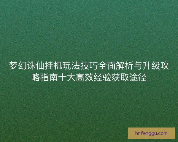 梦幻诛仙挂机玩法技巧全面解析与升级攻略指南十大高效经验获取途径