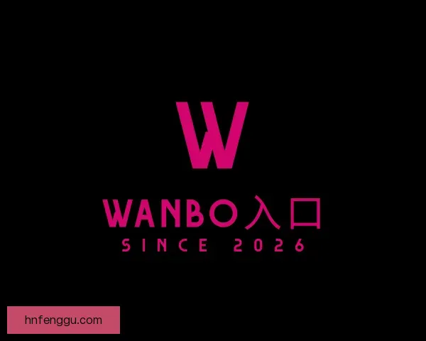发现wanbo入口